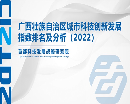 女生和男生干黄色的网站【成果发布】广西壮族自治区城市科技创新发展指数排名及分析（2022）